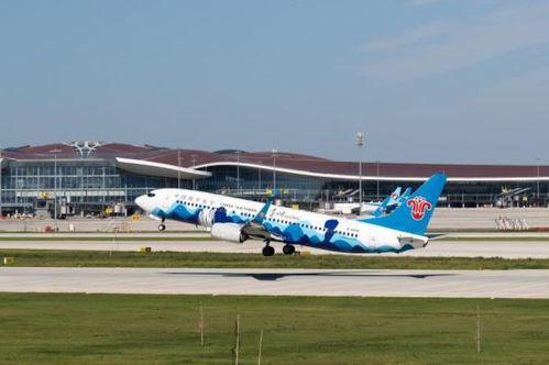 新航季南航哈尔滨至北京航班全面转场大兴机场，民用机场运营格局再优化